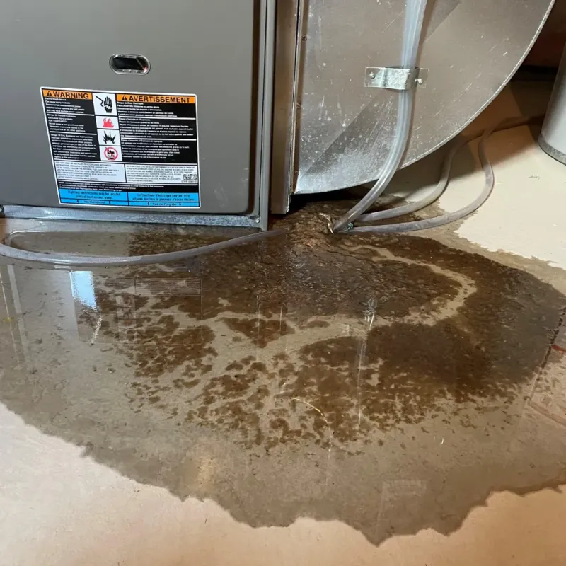 Appliance Leak Cleanup in Haleiwa, HI