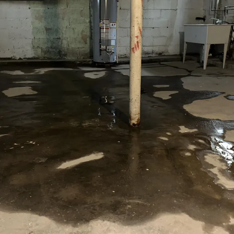 Emergency Water Extraction And Removal in Haleiwa, HI
